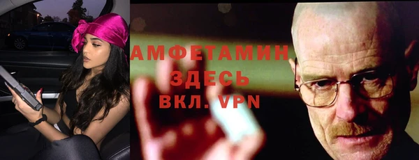 гидра Аркадак