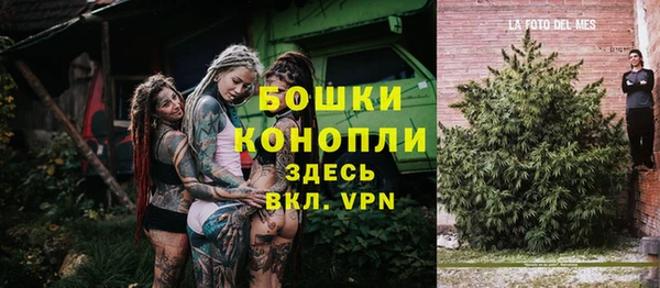 прущий лед Арсеньев