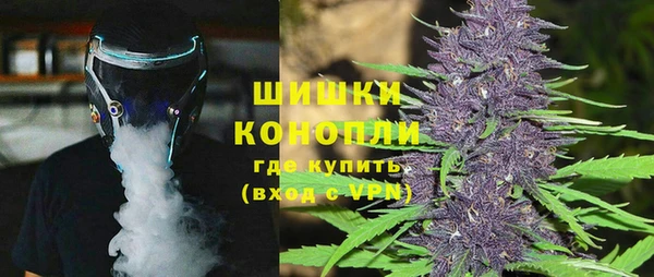 гидра Аркадак