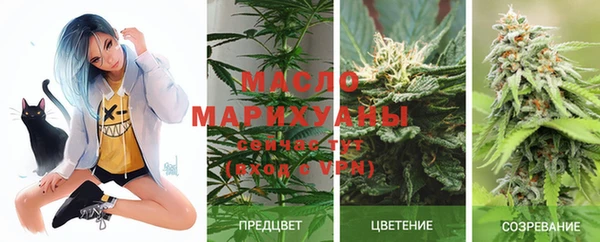 гидра Аркадак