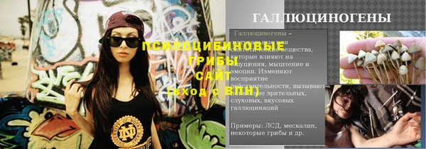 прущий лед Арсеньев