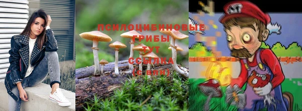 прущий лед Арсеньев