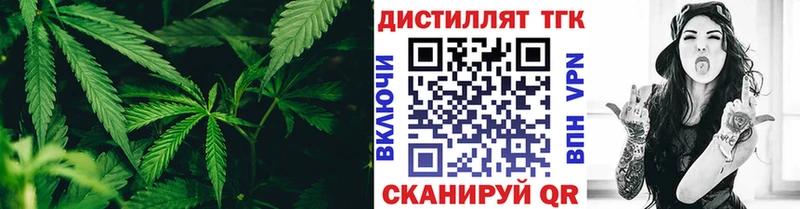 ТГК гашишное масло  Тайга 